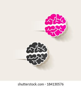 realistic design element: brain. Vector Illustration