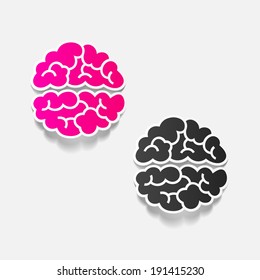 realistic design element: brain. Vector Illustration