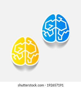 realistic design element: brain. Vector Illustration