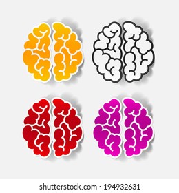 realistic design element: brain. Vector Illustration