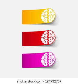 realistic design element: brain. Vector Illustration