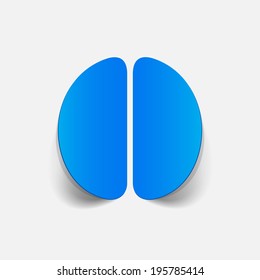 realistic design element: brain. Vector Illustration