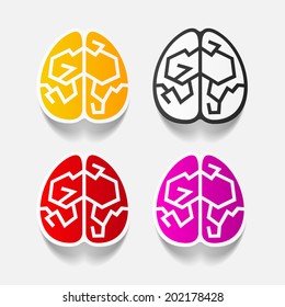 realistic design element: brain. Vector Illustration