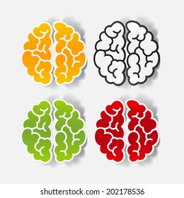 realistic design element: brain. Vector Illustration