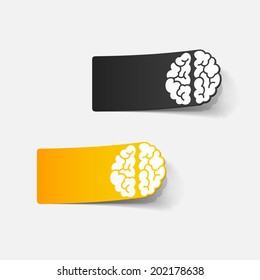 realistic design element: brain. Vector Illustration