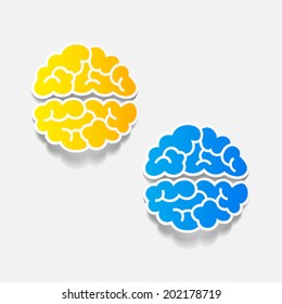 realistic design element: brain. Vector Illustration