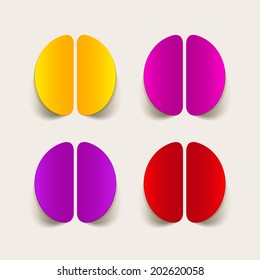 realistic design element: brain. Vector Illustration