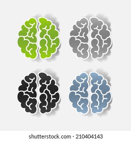 realistic design element: brain. Vector Illustration