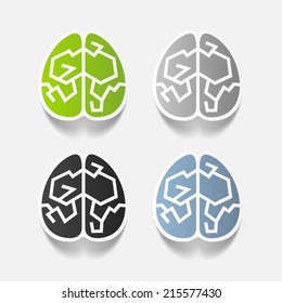 realistic design element: brain. Vector Illustration