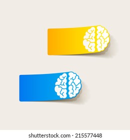 realistic design element: brain. Vector Illustration