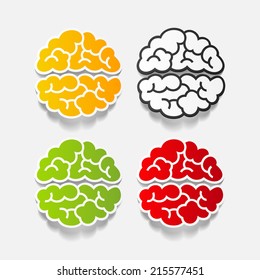 realistic design element: brain. Vector Illustration