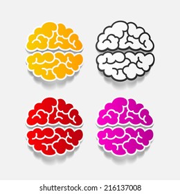 realistic design element: brain. Vector Illustration