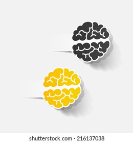 realistic design element: brain. Vector Illustration