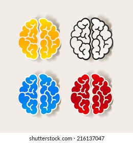 realistic design element: brain. Vector Illustration