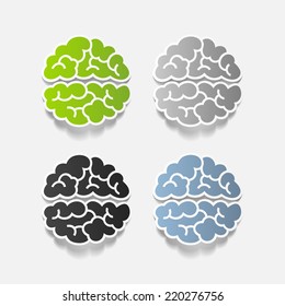 realistic design element: brain. Vector Illustration