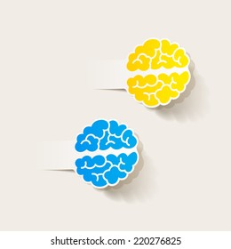 realistic design element: brain. Vector Illustration