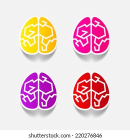 realistic design element: brain. Vector Illustration