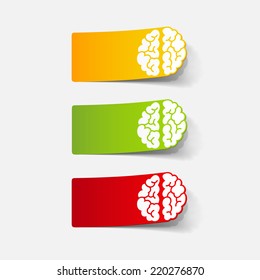 realistic design element: brain. Vector Illustration