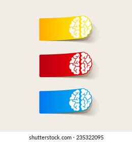 realistic design element: brain. Vector Illustration