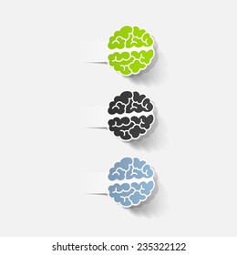 realistic design element: brain. Vector Illustration