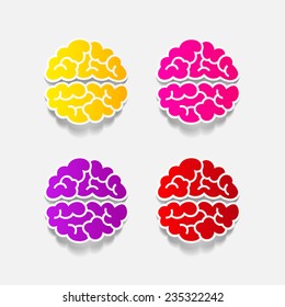 realistic design element: brain. Vector Illustration