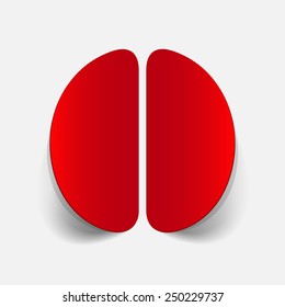 realistic design element: brain. Vector Illustration