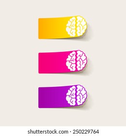 realistic design element: brain. Vector Illustration