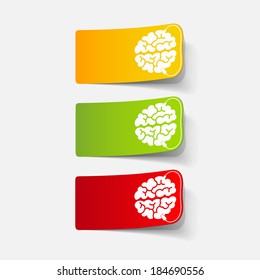realistic design element: brain-usb, plug. Vector Illustration