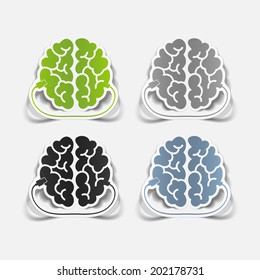 realistic design element: brain-usb, plug. Vector Illustration