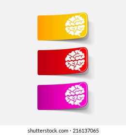 realistic design element: brain-usb, plug. Vector Illustration