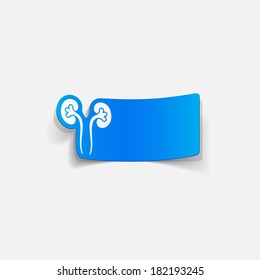 realistic design element: kidneys, medical