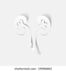realistic design element: kidneys, medical