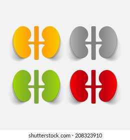 realistic design element: kidneys, medical