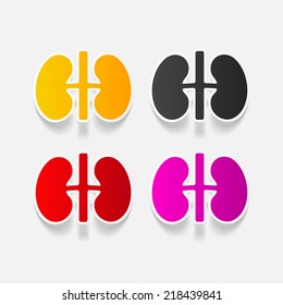 realistic design element: kidneys, medical