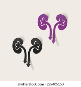 realistic design element: kidneys, medical