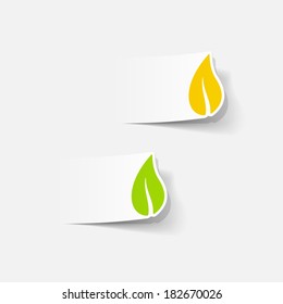 realistic design element: leaf