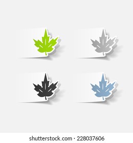 realistic design element: leaf