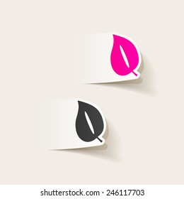 realistic design element: leaf