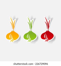 realistic design element: onion