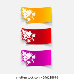 realistic design element: parsley, dill