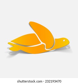 realistic design element: sea turtle