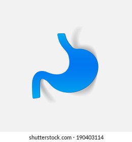 realistic design element: stomach
