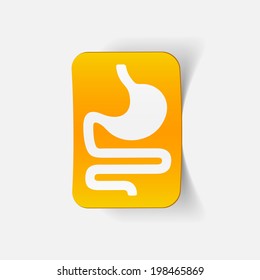 realistic design element: stomach, medical