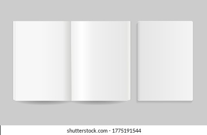 Realistic Detailed 3d Blank Magazine Empty Template Mockup Closeup View Set on a Grey. Vector illustration