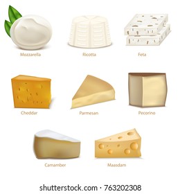 Realistic Detailed 3d Cheese Different Types Set Include of Cheddar, Parmesan, Maasdam, Camembert, Mozzarella and Feta. Vector illustration