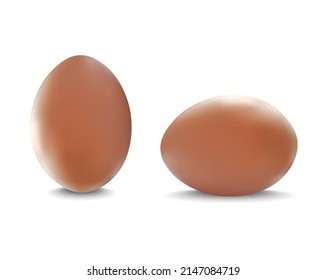 Realistic Detailed 3d Chicken Eggs Set Symbol of Easter Isolated on a White Background. Vector illustration of Shell Egg