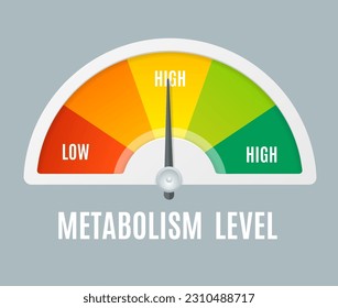 Realistic Detailed 3d Color Metabolism Level Indicator with Arrow Symbol . Vector illustration of Organism Test Instrument