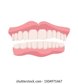 Realistic Detailed 3d Dentures on a White Dentistry Health Care Concept. Vector illustration of Prosthesis Teeth