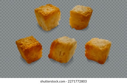 Realistic Detailed 3d Different Crackers Crispy Set on a Transparent Background. Vector illustration of Piece of Brown Bread or Crouton