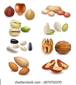 Realistic Detailed 3d Different Nuts Set Include of Pistachio, Hazelnut, Almond, Peanut and Cashew. Vector illustration